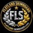 FLATLAND SKIMBOARD